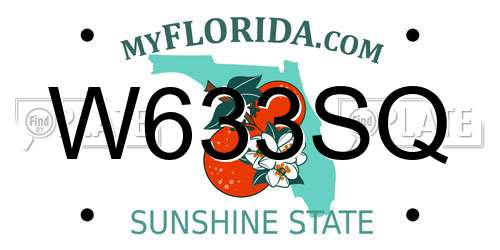 W633SQ Florida License Plate