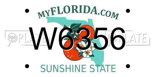 W6356 Florida License Plate