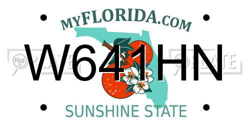 W641HN Florida License Plate