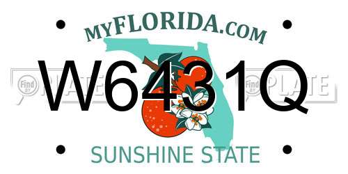 W6431Q Florida License Plate