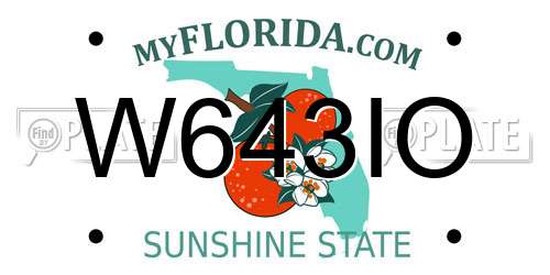 W643IO Florida License Plate