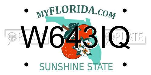 W643IQ Florida License Plate