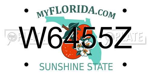 W6455Z Florida License Plate