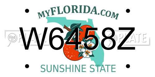W6458Z Florida License Plate
