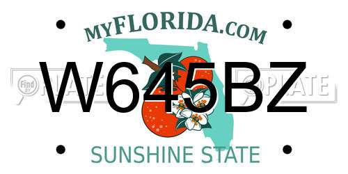 W645BZ Florida License Plate