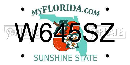 W645SZ Florida License Plate