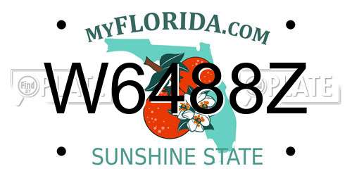 W6488Z Florida License Plate