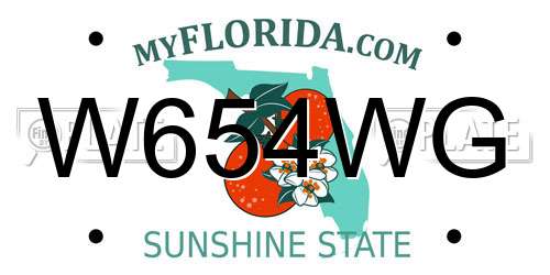 W654WG Florida License Plate