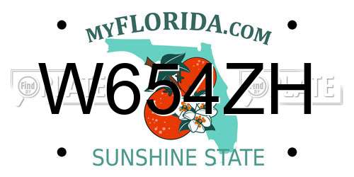 W654ZH Florida License Plate