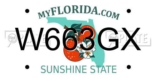 W663GX Florida License Plate
