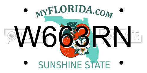 W663RN Florida License Plate