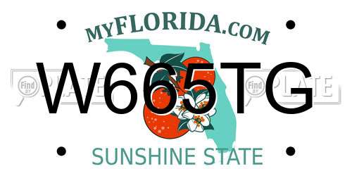 W665TG Florida License Plate