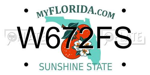 W672FS Florida License Plate
