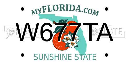W677TA Florida License Plate