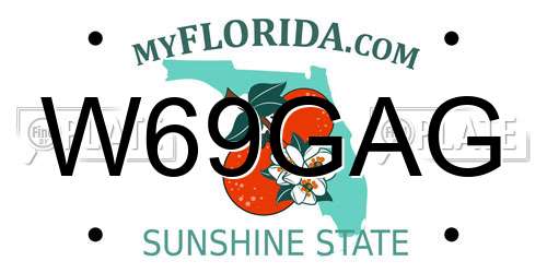 W69GAG Florida License Plate