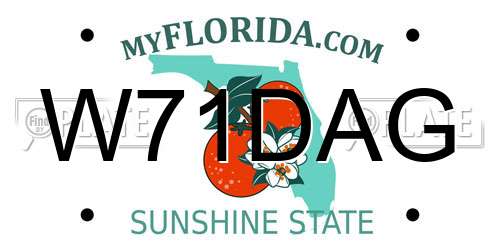 W71DAG Florida License Plate