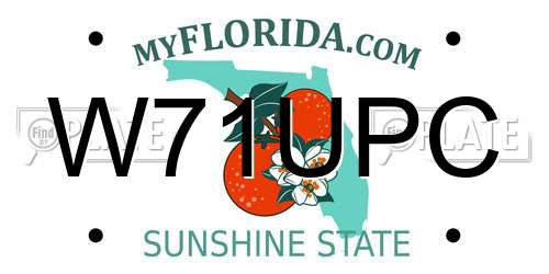 W71UPC Florida License Plate