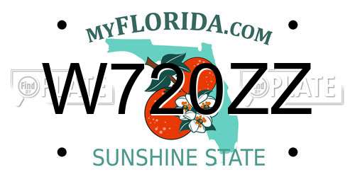 W720ZZ Florida License Plate