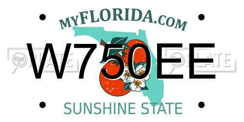 W750EE Florida License Plate