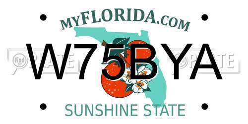 W75BYA Florida License Plate
