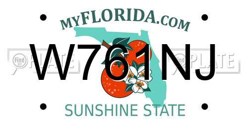 W761NJ Florida License Plate