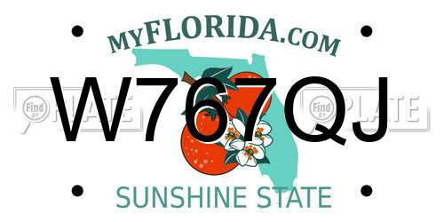W767QJ Florida License Plate
