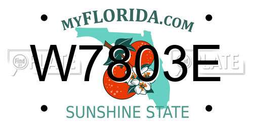 W7803E Florida License Plate