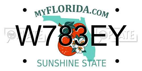 W783EY Florida License Plate
