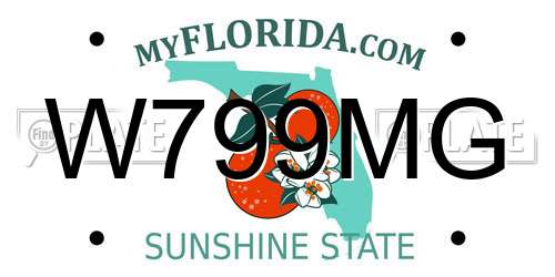 W799MG Florida License Plate
