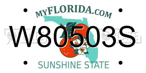 W80503S Florida License Plate