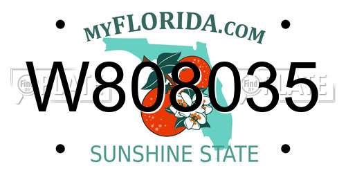 W808035 Florida License Plate