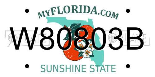 W80803B Florida License Plate