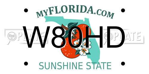 W80HD Florida License Plate