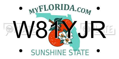 W81YJR Florida License Plate