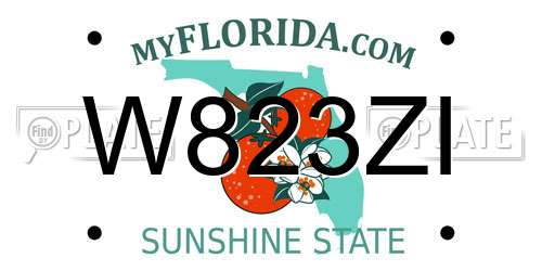 W823ZI Florida License Plate