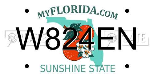 W824EN Florida License Plate