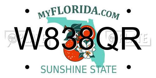 W838QR Florida License Plate