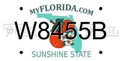 W8455B Florida License Plate