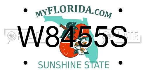 W8455S Florida License Plate