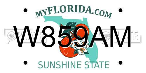 W859AM Florida License Plate