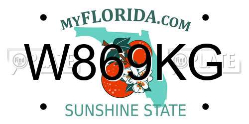 W869KG Florida License Plate