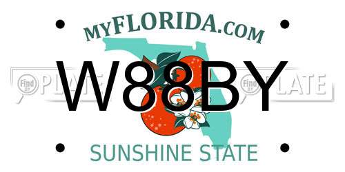 W88BY Florida License Plate