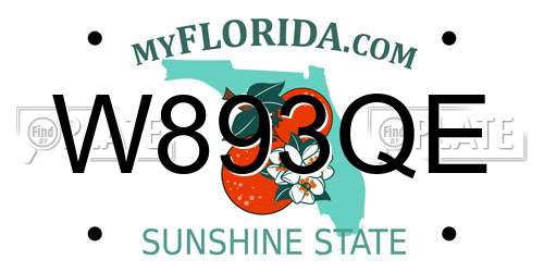 W893QE Florida License Plate