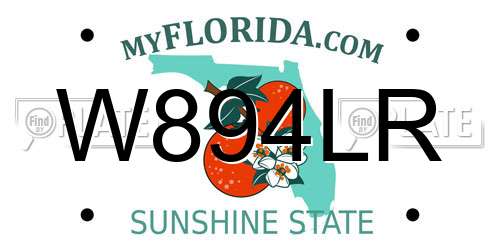 W894LR Florida License Plate