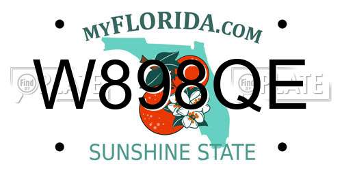 W898QE Florida License Plate