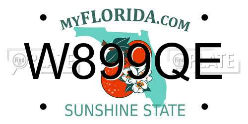 W899QE Florida License Plate