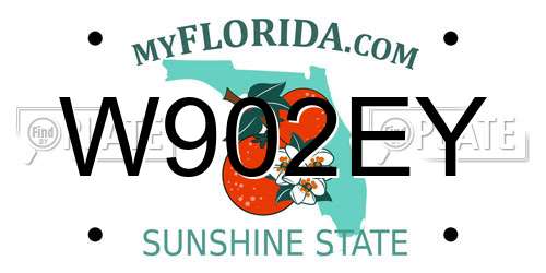 W902EY Florida License Plate