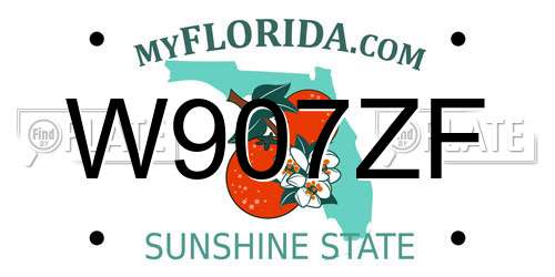 W907ZF Florida License Plate