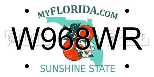 W968WR Florida License Plate