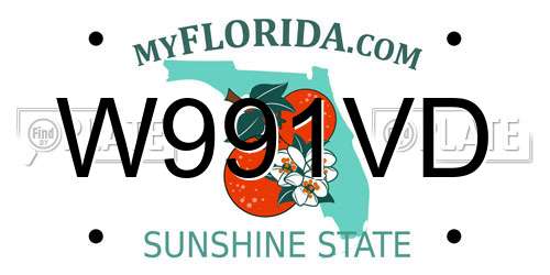 W991VD Florida License Plate